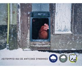 ΑΥΤΟΜΑΤΗ ΠΟΡΤΑ (Α4) ΓΙΑ ΚΟΤΕΤΣΙ ΜΕ ΜΠΑΤΑΡΙΑ ΣΕ ΔΙΑΣΤΑΣΗ 37X25-thumb-8