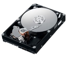 WESTERN DIGITAL used HDD 250GB, 3.5", SATA