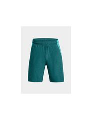 Under Armour M shorts 1376955-464