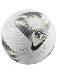 Nike Premier League Academy Ball FB2985106