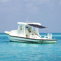 Επέκταση Σκιάστρου Σετ Σχήμα Τ Μπλε 170x170x(113-182,5) εκ. 3217199