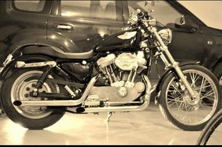 Harley Davidson Sportster XL 883 '03 883 Anniversary Custom