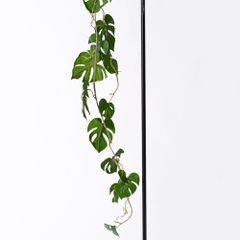 Τεχνητή Γιρλάντα Monstera Deliciosa Πράσινη 120cm