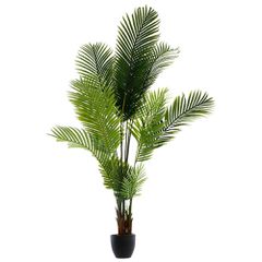 Φυτό Σε Γλάστρα Green9 114x105x180cm Pako