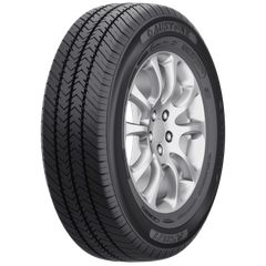 175/13 C 97/95Q AUSTONE ASR71 DOT 18/2022 (TIMH TMX)