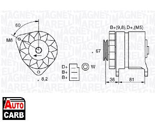 Δυναμό MAGNETI MARELLI 054022384010 για AUSTIN MINI 1958-1994, AUSTIN MONTEGO 1984-1993, FORD CAPRI 1968-1987