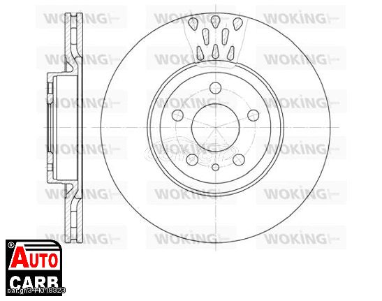 Δισκοπλακα WOKING D631610 για FIAT DOBLO 2009-, KIA CARNIVAL 1999-2007, LANCIA THEMA 1984-1994