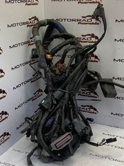 ΠΛΕΞΟΥΔΑ - TRIUMPH TIGER 1050 ABS , 07'-12' / MOTORRAD PSARAKIS