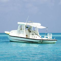 Επέκταση Σκιάστρου Σχήμα Τ Λευκό 170x170x(115-183) εκ. 94862
