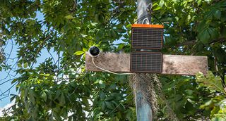 Ηλιακό Πάνελ 20 Watt Flex Solar φορητό-thumb-13