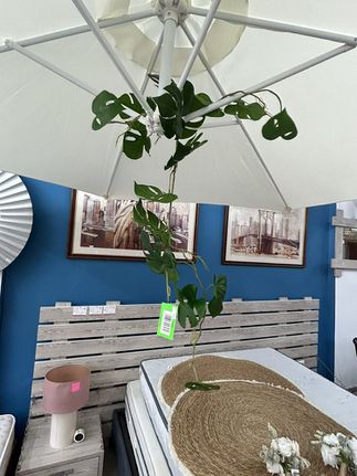 Φυτό Γιρλάντα 1.20 εκ (500/1860)