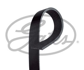 Ιμάντας poly-V GATES 7PK1735 Nissan Navara D40 2500cc dCi 163ps 2006- (0306GC0091N,117205X00B,5037206AB,5037206AC,5037206AD)