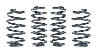 Racingline -25mm Sport Springs UP GTI