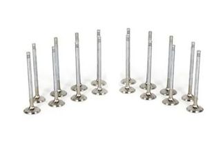 Mitsubishi Lancer Evo 10 Ferrea Competition Engine Valves x16