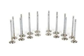 Mitsubishi Lancer Evo 7 / Evo 8 / Evo 9 Ferrea Competition Engine Valves x16
