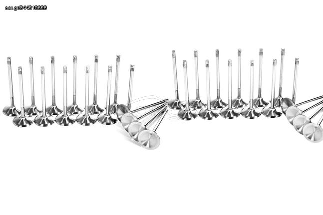 BMW M3 F80 / M4 F8x / M2 Comp F87 Ferrea Competition Plus Engine Valves x24