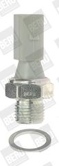 BERU ΒΑΛΒΙΔΑ ΠΙΕΣΗΣ ΛΑΔΙΟΥ VAG BorgWarner (BERU) SPR040