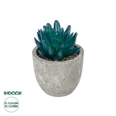 GloboStar® Artificial Garden SUCCULENT SEDEVERIA POTTED PLANT 21018 Διακοσμητικό Φυτό Σεδεβέρια Φ6,5 x Υ9cm