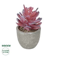 GloboStar® Artificial Garden SUCCULENT CRASSULA POTTED PLANT 21015 Διακοσμητικό Φυτό Κρασούλα Φ7 x Υ11,5cm