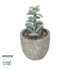 GloboStar® Artificial Garden SUCCULENT SEDEVERIA POTTED PLANT 21027 Διακοσμητικό Φυτό Σεδεβέρια Φ5 x Υ11cm