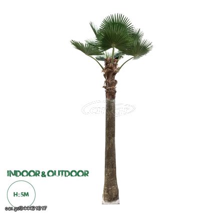 GloboStar® Artificial Garden PLANT PALM TREE 21056 Διακοσμητικό Δέντρο Φοίνικα  Φ240 x Υ500cm