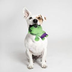 MARVEL - Hulk - Stuffed Dog Toy-thumb-4