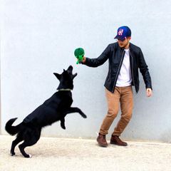 MARVEL - Hulk - Stuffed Dog Toy-thumb-3