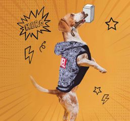 MARVEL - Dog Hoodie - XS-thumb-1