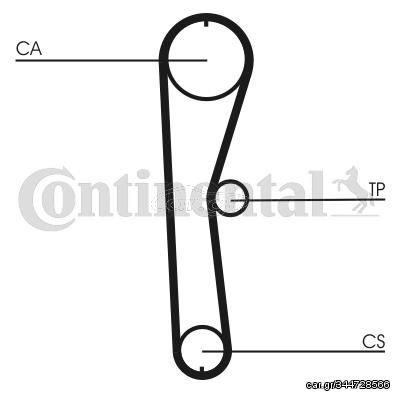 Οδοντωτός ιμάντας CONTINENTAL CTAM CT824