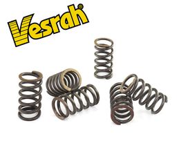 Vesrah ελατήρια συμπλέκτη SK-401 Kawasaki ATV & Motorcycles