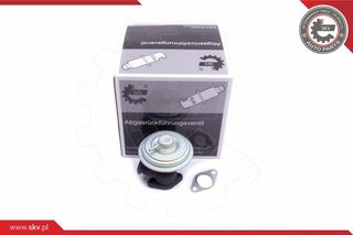 EGR ΒΑΛΒΙΔΑ CITROENC5IC5IIPEUGEOT406607,1628NN 14SKV203 1628NN 9638035080 9638246980