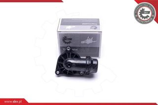 ΘΕΡΜΟΣΤΑΤΗΣ BMW13X1X3Z4,11517500597 20SKV141 11517500597