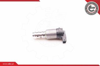 ΒΑΛΒΙΔΑ ΕΛΕΓΧΟΥ ΕΚΚΕΝΤΡΟΦΟΡΟΣ ΑΔ BMW13567X1X3X5Z4,11367560462 39SKV013 0149817 0410035 11360149817 11360410035 11361707323 11367560462 1707323 7560462
