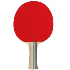 Ρακέτα Ping Pong 2 Stars Get and Go 61UF