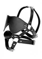 Eye Mask Harness with Ball Gag