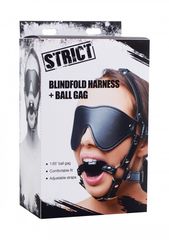 Eye Mask Harness - Ball Gag