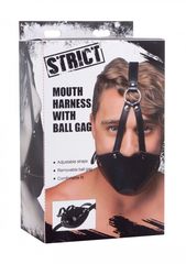 Mouth harness with Ball Gag