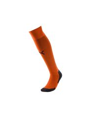 Puma Liga Core Socks 703441 08 football socks