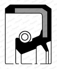 ΤΣΙΜ.ΣΤΡΟΦΑΛΟΥ-NISSAN NAVARA(D40) 2.4 04  NJ287 122795PA0A 12279T7202 21081005160 1227942L00 12279T7200 12279T7201 12279V1700 1227901M00