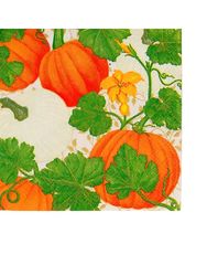 Xαρτοπετσέτες Cocktail Pumpkin Chintz White 12.5x12.5cm Caspari (20 Tεμάχια)