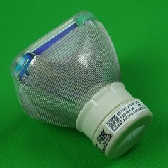 SONY EX100 Projector Lamp - Sony