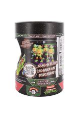 Holdems Tmnt Raphael / PlayStation 5-thumb-1