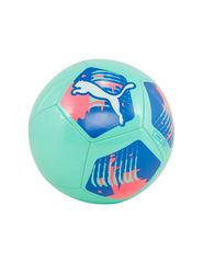 Puma Big Cat ball 84214 13