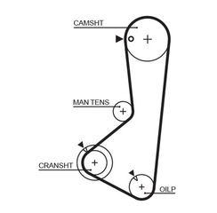 Οδοντωτός ιμάντας  PowerGrip™