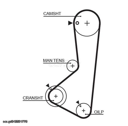 Οδοντωτός ιμάντας  PowerGrip™