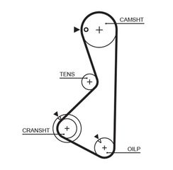 Οδοντωτός ιμάντας  PowerGrip™