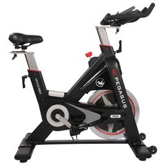 Ποδήλατο Pegasus® Spin Bike PG5 391167873