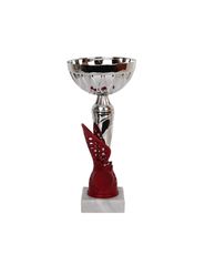 Tryumf Cup W1993