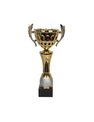 Tryumf Cup W1888