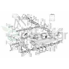Κάτω γρανάζι καδένας-55-Maschio|Terra